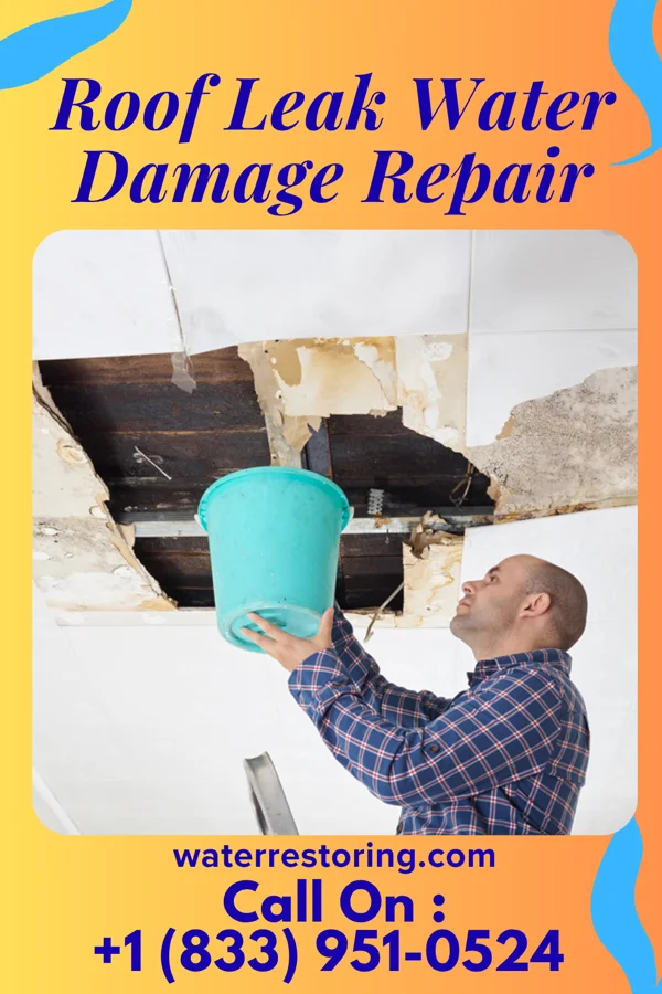 Roof Leak Water Damage Repair in McKittrick, MO
